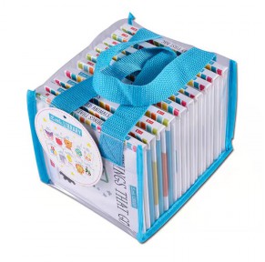  原版进口！Little Library Collection 学乐小图书馆 清仓价！